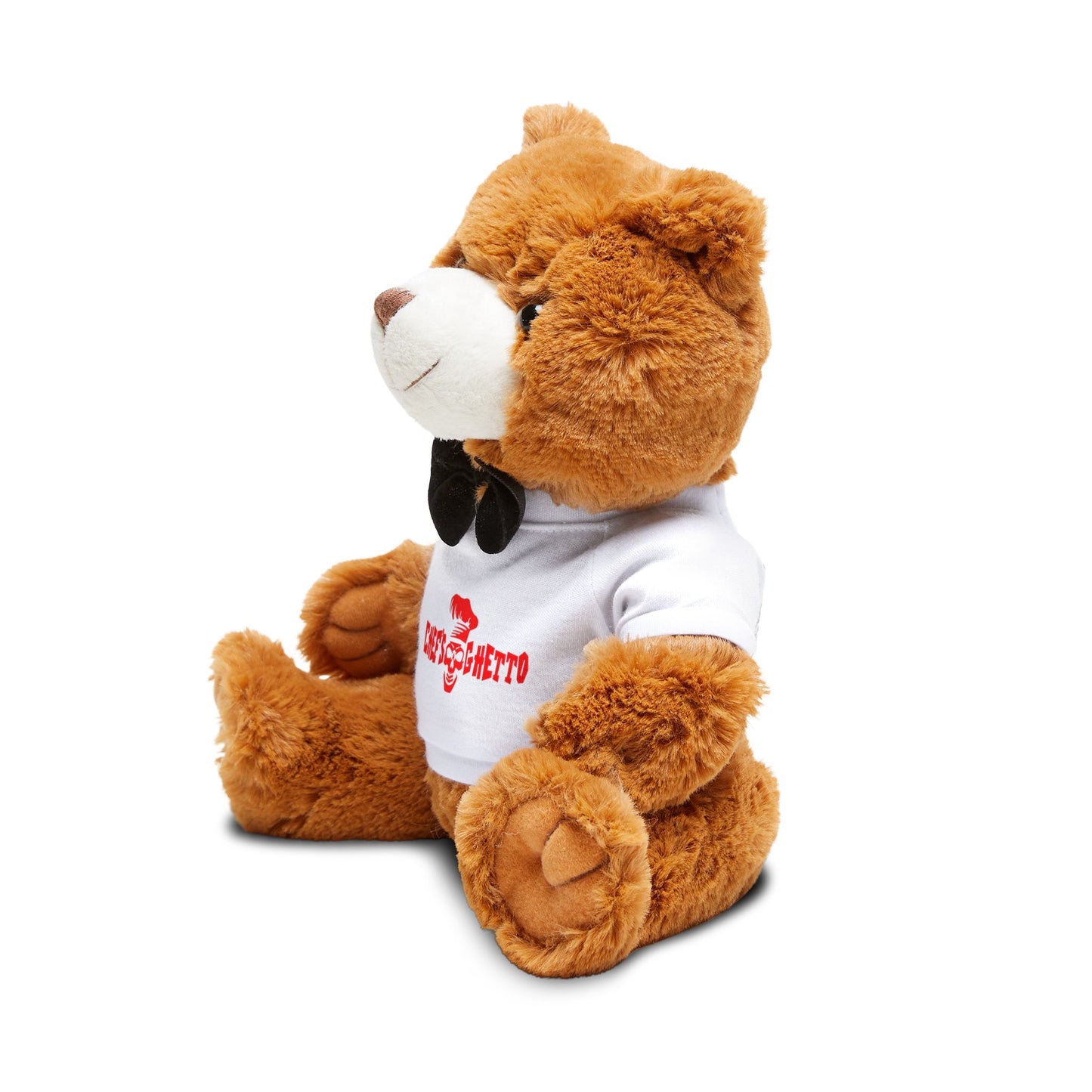 Teddy Bear with T-Shirt