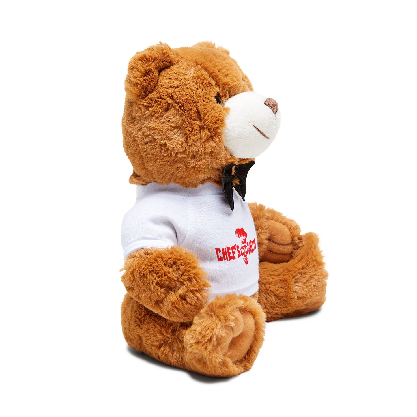 Teddy Bear with T-Shirt